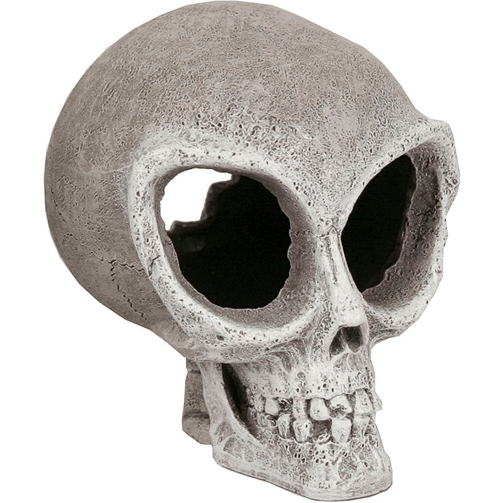Exotic Environments Alien Skull (GRAY, SM)