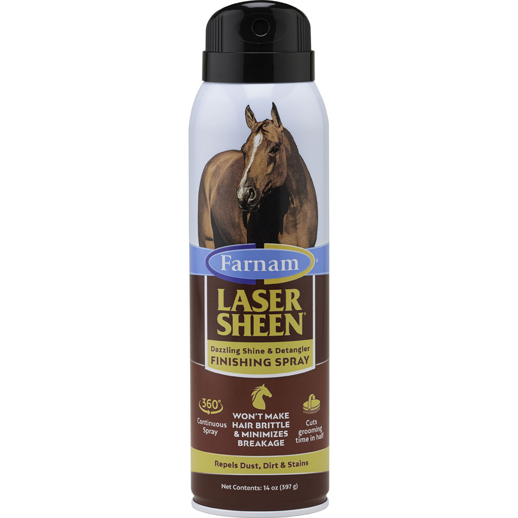Laser Sheen Finishing Spray (14 OZ)