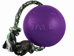 Jolly Pets Romp-N-Roll Ball (PURPLE, MD)